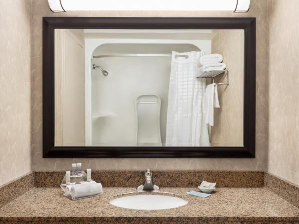 Royal Hotel West Edmonton, Trademark Collection by Wyndham : photo 6 de la chambre chambre lit queen-size - non-fumeurs