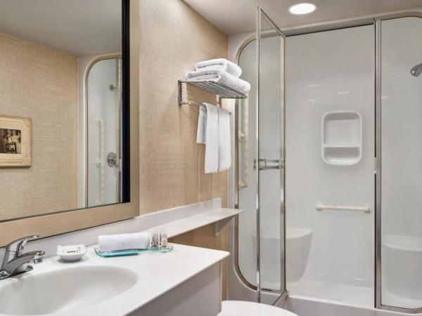 Royal Hotel West Edmonton, Trademark Collection by Wyndham : photo 1 de la chambre chambre lit king-size club - non-fumeurs