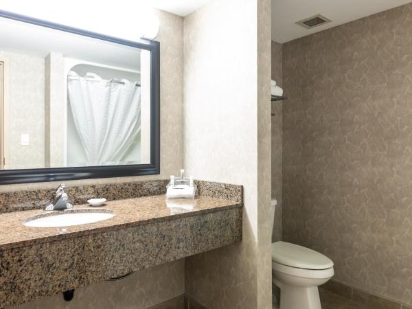 Royal Hotel West Edmonton, Trademark Collection by Wyndham : photo 3 de la chambre suite studio lit king-size - non-fumeurs