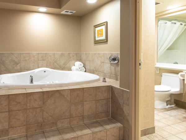 Royal Hotel West Edmonton, Trademark Collection by Wyndham : photo 7 de la chambre suite de luxe 1 chambre avec lit king-size - non-fumeurs