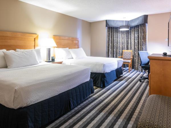 Royal Hotel West Edmonton, Trademark Collection by Wyndham : photo 3 de la chambre chambre avec 2 lits queen-size - animaux domestiques admis - non-fumeurs
