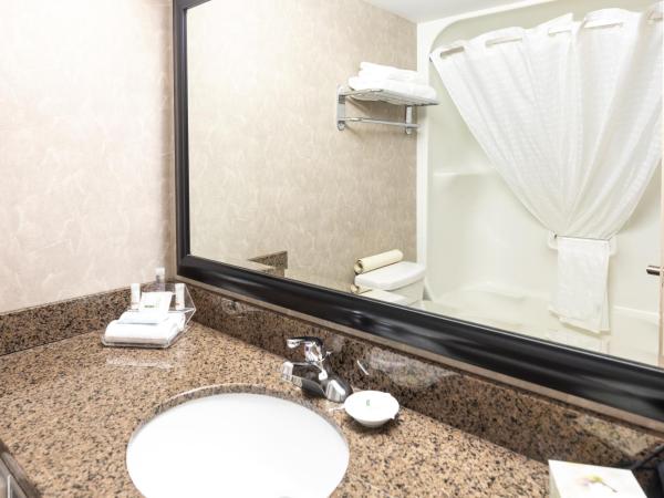 Royal Hotel West Edmonton, Trademark Collection by Wyndham : photo 1 de la chambre chambre avec 2 lits queen-size - animaux domestiques admis - non-fumeurs