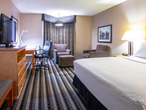 Royal Hotel West Edmonton, Trademark Collection by Wyndham : photo 2 de la chambre chambre lit king-size - animaux acceptés - non-fumeurs