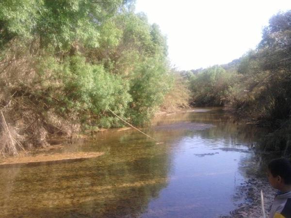 Casa Amoreira - Quinta Amoreira : photo 5 de la chambre maison de vacances