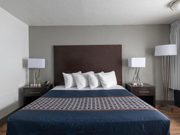 Hotel Monreale Express International Drive Orlando : photo 3 de la chambre chambre lit king-size