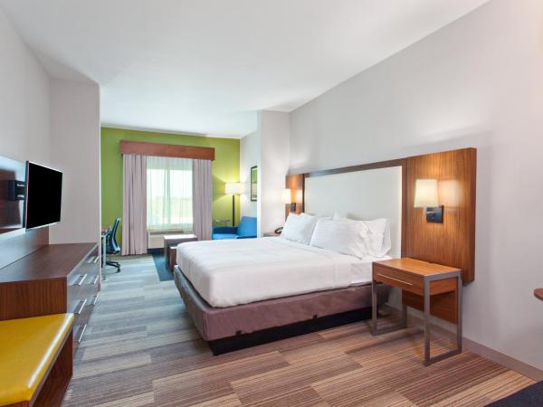 Holiday Inn Express & Suites Houston S - Medical Ctr Area, an IHG Hotel : photo 2 de la chambre suite lit king-size
