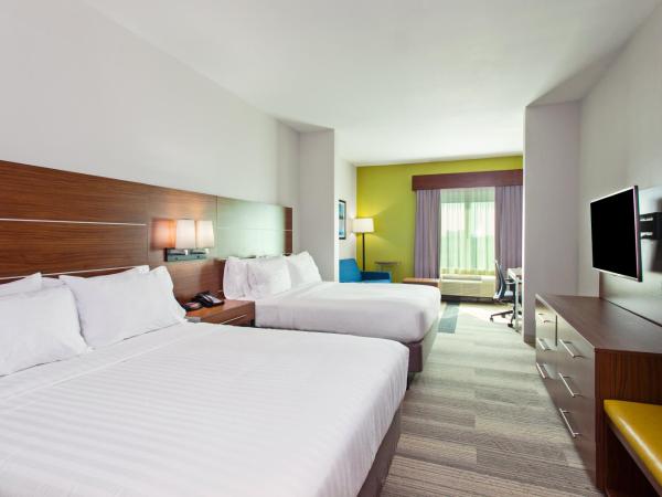 Holiday Inn Express & Suites Houston S - Medical Ctr Area, an IHG Hotel : photo 2 de la chambre suite 1 chambre lit queen-size avec canapé-lit