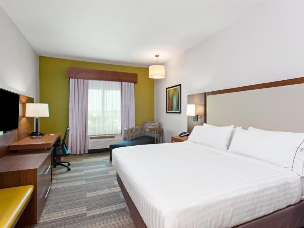 Holiday Inn Express & Suites Houston S - Medical Ctr Area, an IHG Hotel : photo 1 de la chambre chambre lit king-size loisirs - non-fumeurs