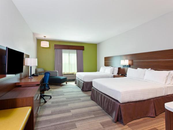 Holiday Inn Express & Suites Houston S - Medical Ctr Area, an IHG Hotel : photo 3 de la chambre suite 1 chambre lit queen-size avec canapé-lit