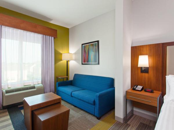Holiday Inn Express & Suites Houston S - Medical Ctr Area, an IHG Hotel : photo 1 de la chambre suite 1 chambre lit queen-size avec canapé-lit