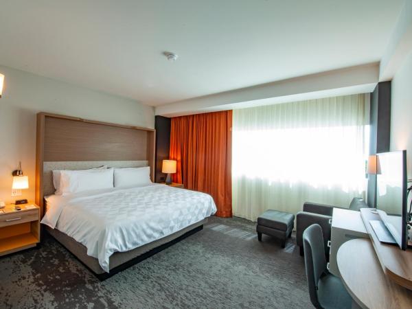 Holiday Inn & Suites - Merida La Isla, an IHG Hotel : photo 2 de la chambre chambre lit king-size standard - accessible aux personnes à mobilité réduite