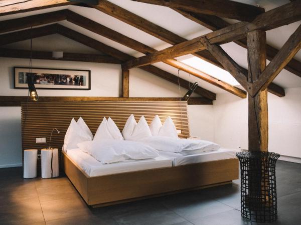 artHotel Blaue Gans : photo 5 de la chambre maisonnette