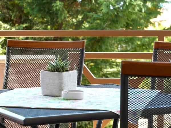 Apartments and Rooms Camaiore : photo 7 de la chambre appartement 1 chambre avec balcon