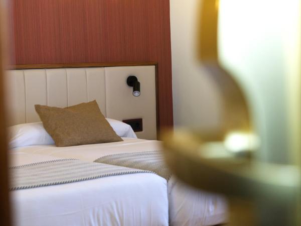 Hospedium Hotel Los Condes : photo 2 de la chambre chambre lits jumeaux avec lit d'appoint (2 adultes + 1 enfant)