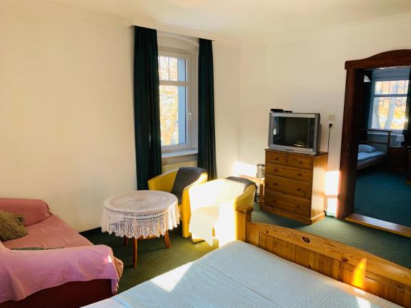 Willa Pod Wieżami : photo 3 de la chambre studio familial