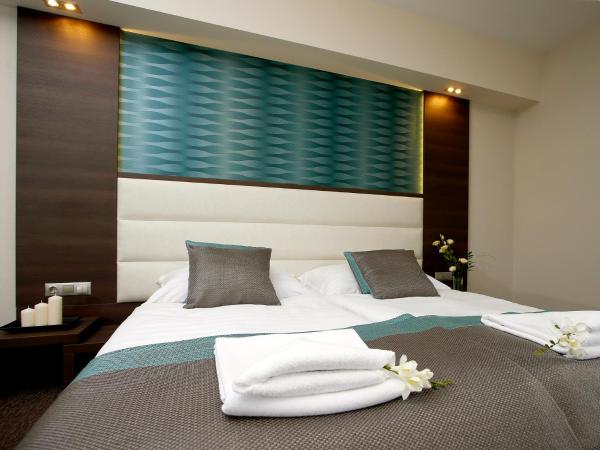 Hotel Villa Völgy Wellness & Konferencia : photo 3 de la chambre chambre double supérieure mansardée