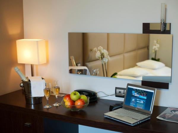 Hotel Villa Völgy Wellness & Konferencia : photo 5 de la chambre chambre double de luxe - mansardée