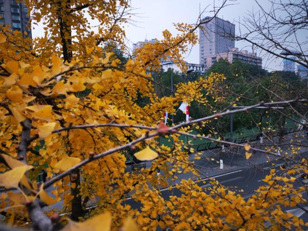 Moonlight Hotel : photo 2 de la chambre chambre familiale avec douche 