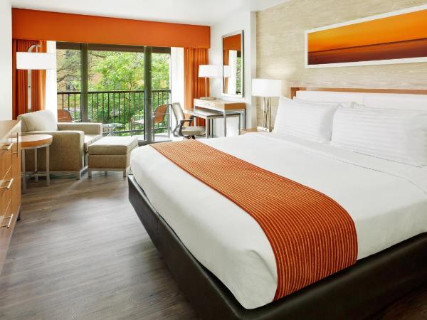 Holiday Inn San Antonio-Riverwalk, an IHG Hotel : photo 3 de la chambre chambre lit king-size avec vue sur la rivière