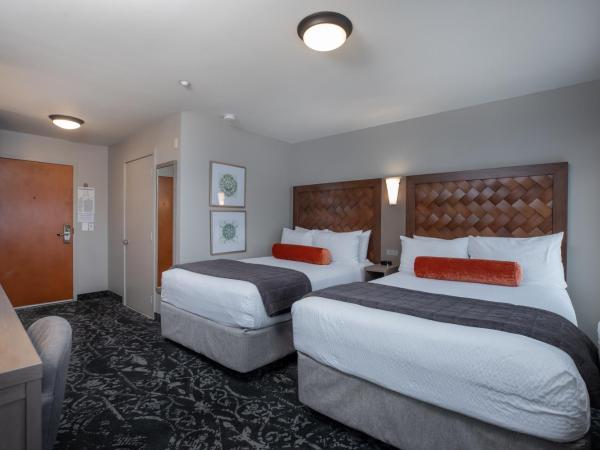 The Mediterranean Inn : photo 5 de la chambre chambre double avec 2 lits doubles