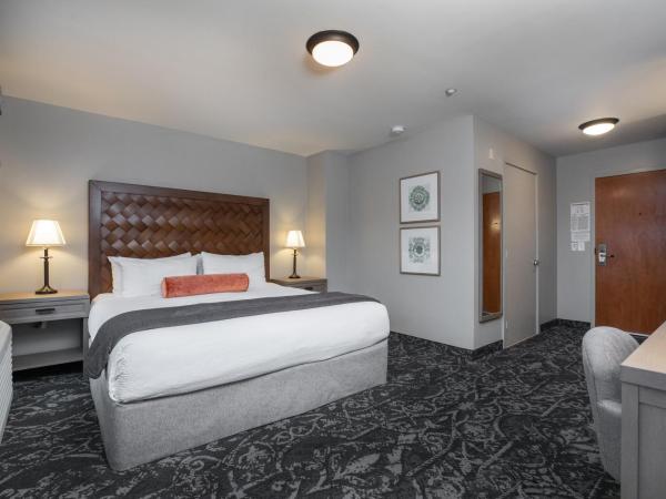 The Mediterranean Inn : photo 6 de la chambre chambre lit king-size