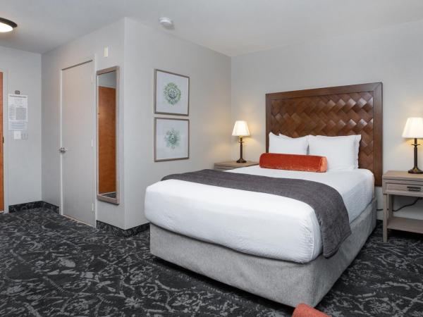 The Mediterranean Inn : photo 1 de la chambre chambre attribuée à l'arrivée