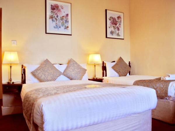 Fitzwilliam Townhouse : photo 2 de la chambre chambre double/simple