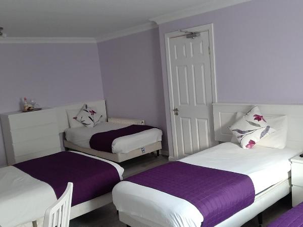 The 'Rafter's Gastropub : photo 2 de la chambre chambre familiale