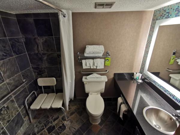 iHotel and Conference Centre Red Deer : photo 2 de la chambre studio lit king-size