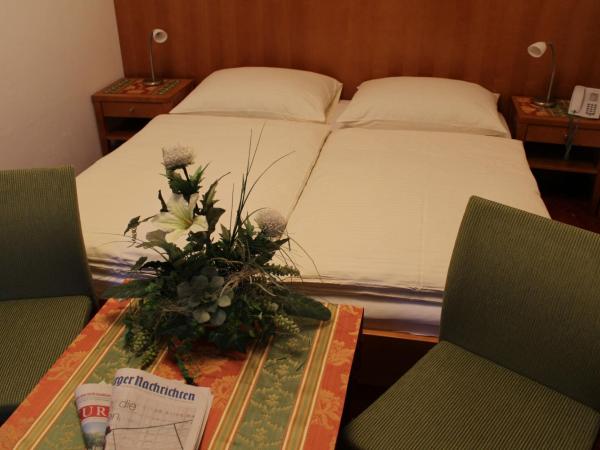 Airporthotel Salzburg - Hotel am Salzburg Airport : photo 2 de la chambre chambre double pour 1 adulte