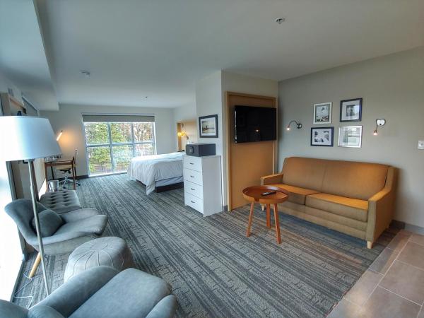 Radisson Hotel Atlanta Airport : photo 1 de la chambre suite studio lit king-size avec canapé-lit - non-fumeurs