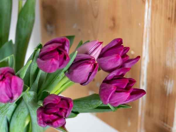 Napoli Bonita b&b : photo 4 de la chambre chambre triple confort