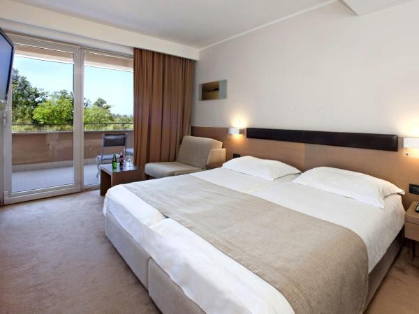 Hotel Molindrio Plava Laguna : photo 3 de la chambre chambre classique avec balcon et canapé-lit