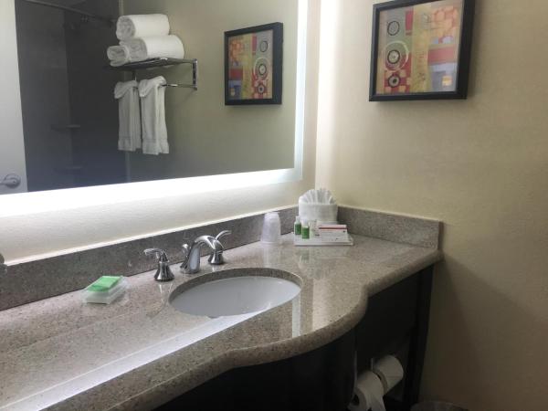 Holiday Inn Orlando East-UCF Area, an IHG Hotel : photo 1 de la chambre chambre lit king-size