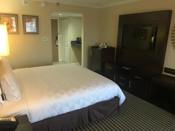 Holiday Inn Orlando East-UCF Area, an IHG Hotel : photo 1 de la chambre chambre lit king-size - adaptée aux personnes à mobilité réduite et malentendantes