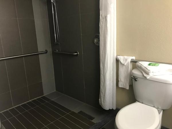Holiday Inn Orlando East-UCF Area, an IHG Hotel : photo 2 de la chambre chambre lit king-size - adaptée aux personnes à mobilité réduite et malentendantes