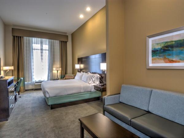 Holiday Inn Express & Suites Austin South, an IHG Hotel : photo 1 de la chambre chambre lit king-size de luxe - accessible aux personnes malentendantes 