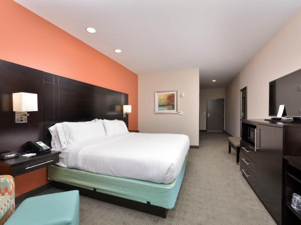 Holiday Inn Express & Suites Austin South, an IHG Hotel : photo 2 de la chambre chambre lit king-size de luxe - accessible aux personnes malentendantes 