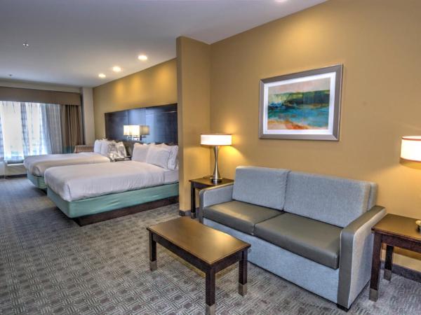 Holiday Inn Express & Suites Austin South, an IHG Hotel : photo 5 de la chambre chambre 2 lits queen-size - accessible aux malentendants