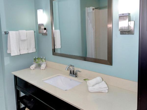 Holiday Inn Express & Suites Austin South, an IHG Hotel : photo 1 de la chambre chambre lit king-size standard