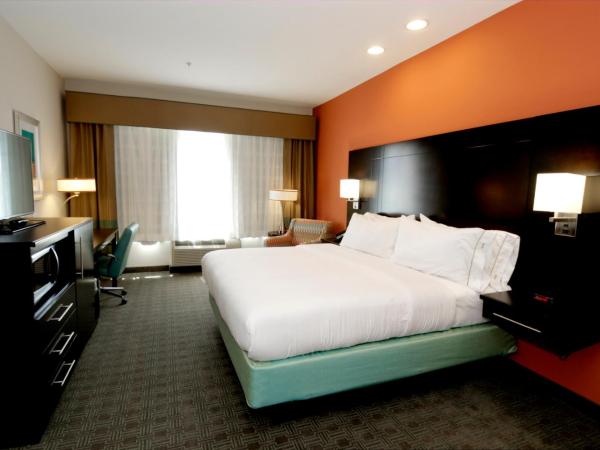 Holiday Inn Express & Suites Austin South, an IHG Hotel : photo 2 de la chambre chambre lit king-size supérieure - non-fumeurs