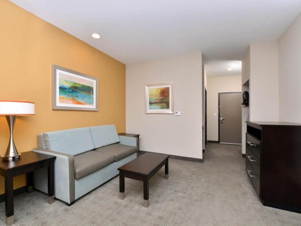 Holiday Inn Express & Suites Austin South, an IHG Hotel : photo 5 de la chambre chambre lit king-size avec canapé-lit - non-fumeurs