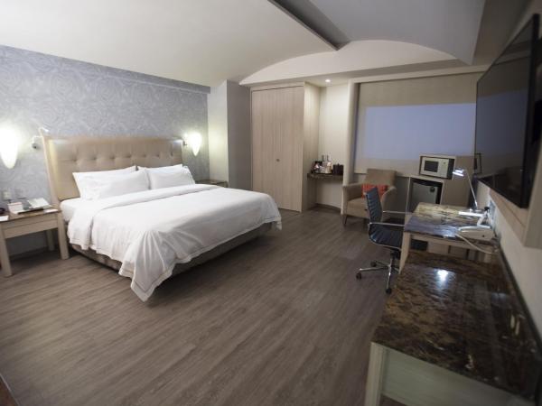 Holiday Inn Express Mexico- Toreo, an IHG Hotel : photo 1 de la chambre chambre lit king-size supérieure