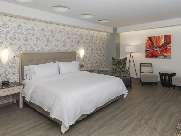 Holiday Inn Express Mexico- Toreo, an IHG Hotel : photo 2 de la chambre suite lit king-size