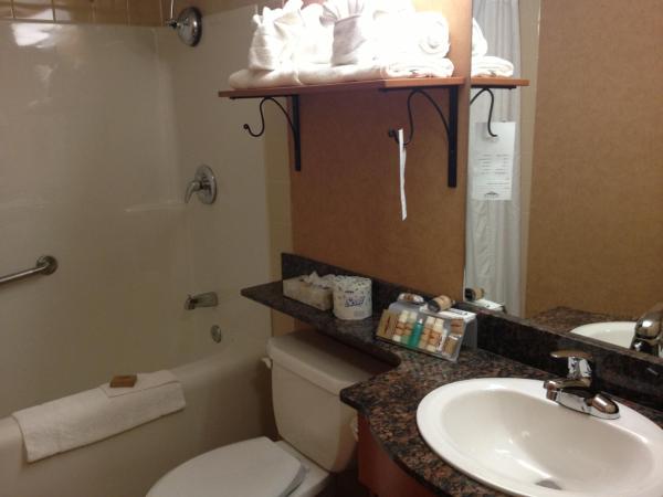 Rosslyn Inn & Suites : photo 10 de la chambre chambre lit queen-size exécutive - nouveau bâtiment