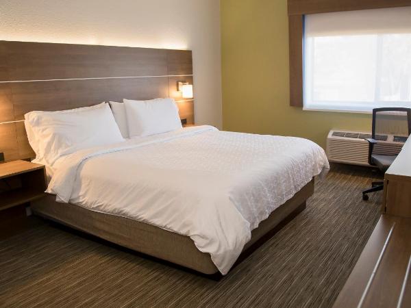 Holiday Inn Express & Suites Colorado Springs North, an IHG Hotel : photo 3 de la chambre chambre lit king-size standard