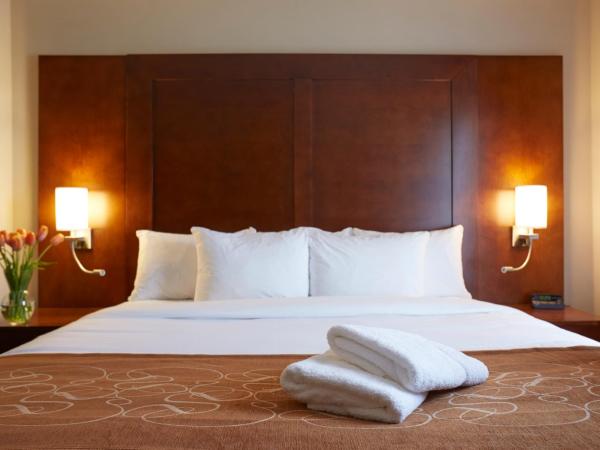 Comfort Suites : photo 3 de la chambre suite lit king-size – non-fumeurs