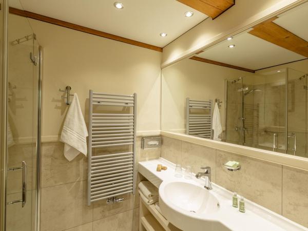 Zamek Topacz : photo 2 de la chambre chambre double ou lits jumeaux supérieure avec mezzanine - bâtiment spichlerz