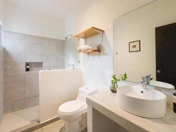 Stay Tropical : photo 6 de la chambre studio double deluxe