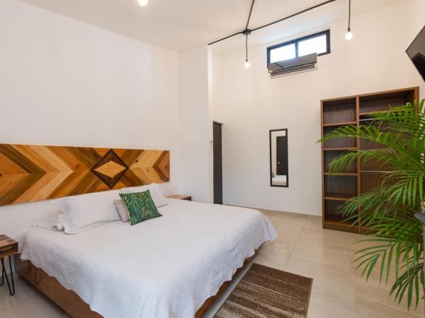 Stay Tropical : photo 6 de la chambre studio